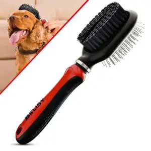 meilleure-brosse-chow-chow