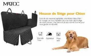 comment-transport-voiture-chow-chow