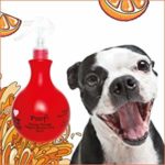 parfum pour chien - 1 des 4 meilleurs parfums pour chiens